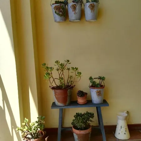 Bed and breakfast Casa Piras *