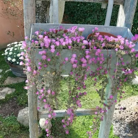 Casa Piras Iun3880 Bed & Breakfast Barumini