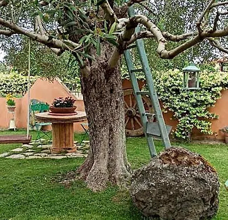 Casa Piras Iun3880 Barùmini