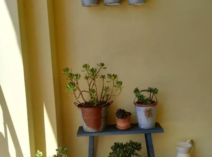 Panzió Casa Piras Iun3880 3*